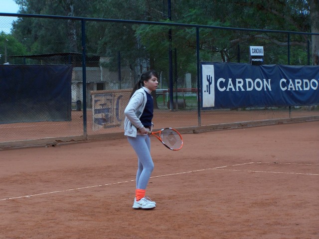 tenis8